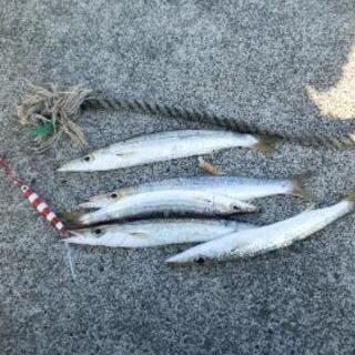野郎だけの釣りグルチャ😁釣り仲間募集✨ - 日野市