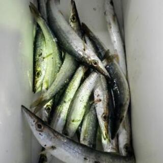 野郎だけの釣りグルチャ😁釣り仲間募集✨ - その他