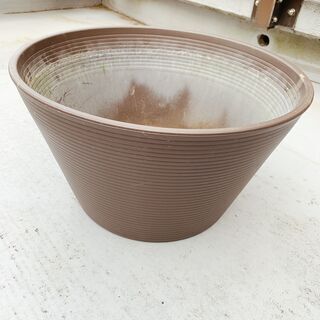 睡蓮鉢【直接引き取りにきてくださる方限定】