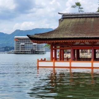 御朱印巡り　埼玉・東京の人