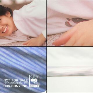 CA767 南野陽子 SONY INC 大パネル 非売品 販促用 希少品の画像