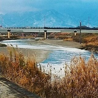 モーニングまたはランチ友達募集