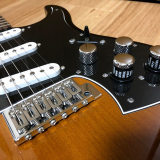 【Sw様 お渡し予定】Line 6 / Variax Stand...