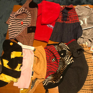 ペットの服の画像