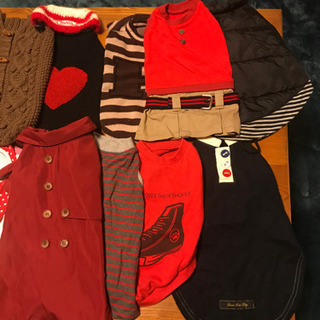 ペットの服の画像