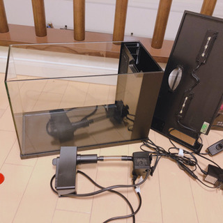 GEX  ラクテリア  ブラック