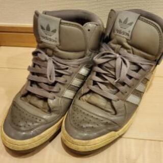 スニーカー👟の画像