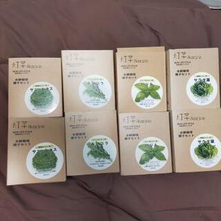 akarina 野菜栽培セット