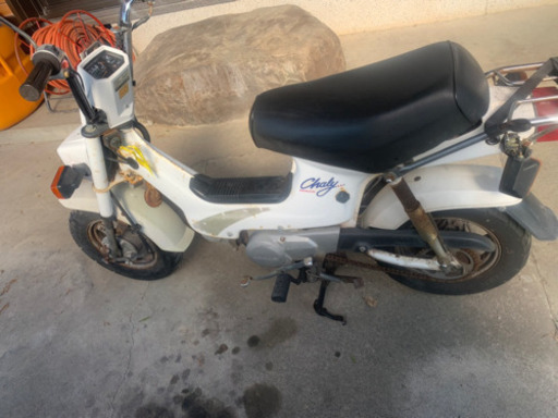 シャリー50 角目