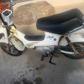 シャリー50 角目