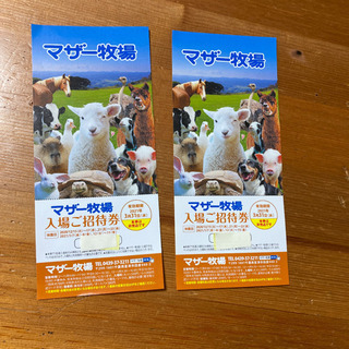 マザー牧場　無料チケット