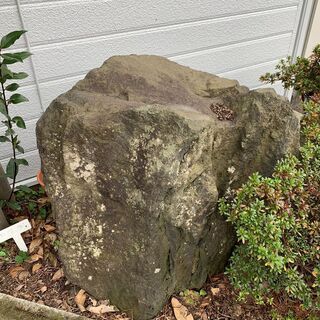 形の良い庭石、無料で差し上げます。ただし引き取りに来てくださる方限定。