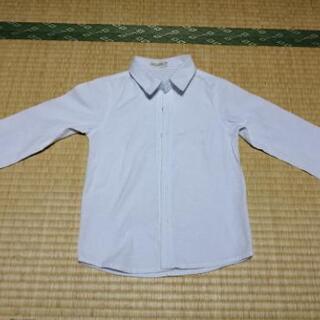 フォーマルＴーシャツの画像
