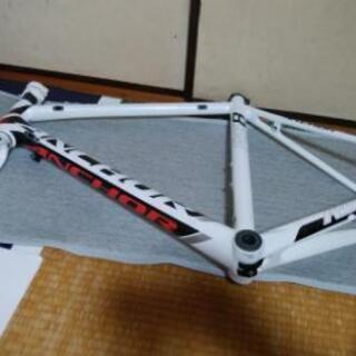 ブリヂストン アンカー anchor RS8 520  フレームセット！の画像