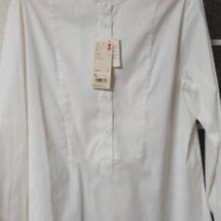 新品 スーピマコットンスタンドシャツ