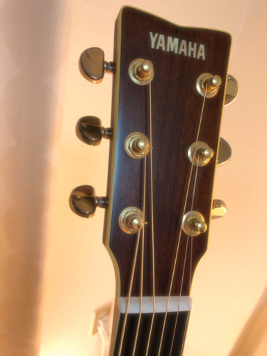 【新品】YAMAHA LL TAトランスアコースティックギター