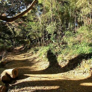 お気軽登山♪　静岡市内