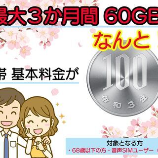 60GBが今なら最大3か月間 毎月基本使用料100円 ！ 毎月の料金を節約！格安SIM販売してます！ - その他