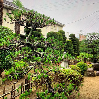 樹木剪定　刈り込み　伐採　草刈り　芝刈り　除草　薬剤散布