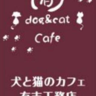 (=^・^=)ボランティアさん募集中です(=^・^=)