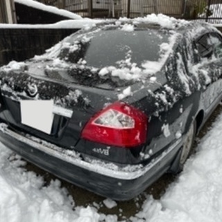 50 シーマ　中期　最上級グレード　走行少の画像
