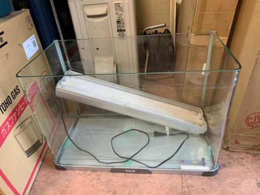 取引中60cm水槽 ガラスの繋ぎ目がない！カーブ！しげん屋