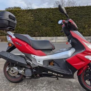 ＰＧＯ125