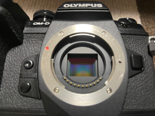 美品OLYMPUS (オリンパス) OM-D E-M1 Mark II ボディ