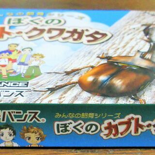 ☆ゲームボーイアドバンス GBA/ぼくのカブト・クワガタ◆この夏森の宝石たちをゲット＆コレクションの画像