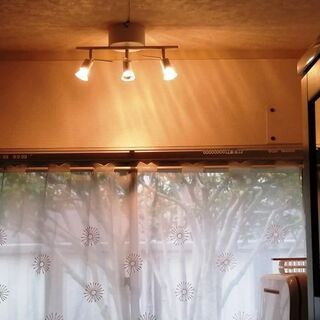 照明 イケヤ ハロゲンライト GU10 3灯 35W 訳ありの画像