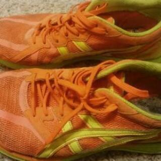 asics（アシックス）ターサージールの画像