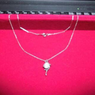 ダイヤ風プチ ネックレス ,0円