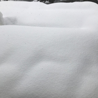 除雪作業