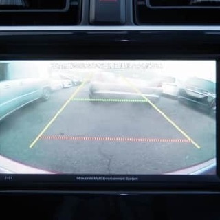 🌰ミラージュ Ｇ・ボディカラーパープル🌰