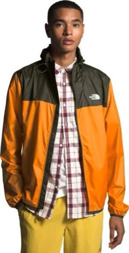 ノースフェイス メンズ サイクロン 2 フーディ