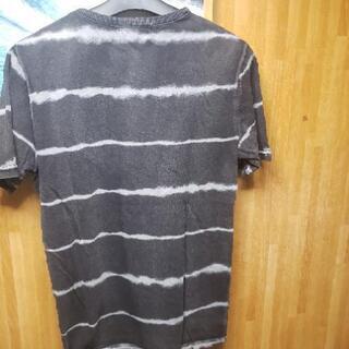 新品 Beno 半袖の画像