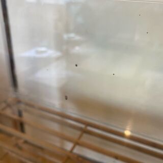 ガラス製水槽 W60cm×D30cm×H36cm ガラス厚約5mm n002の画像