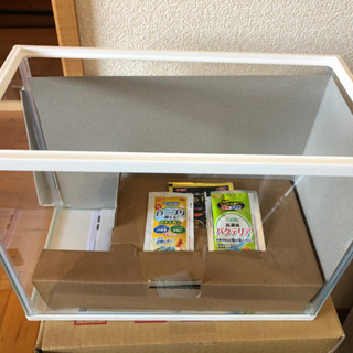 20cmと30センチ水槽 おまけ付き