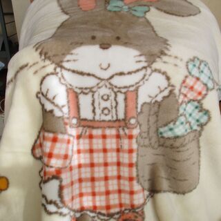 毛布　アクリル　2枚合わせ