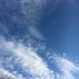 ☀️第4回 Happy Yoga☀️ 1/10㈰ 猿江恩賜公園