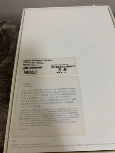 iPad mini 16GB