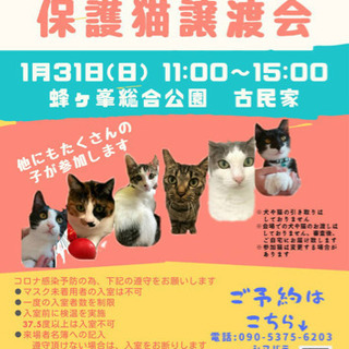 第１２回　保護猫譲渡会in蜂が峯総合公園