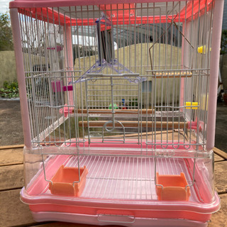 鳥かごの画像
