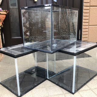 【無料】 水槽　3点の画像