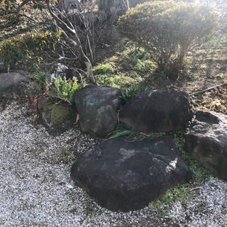 庭石、松の木 、つげの木、どうだん、さつき差し上げます。