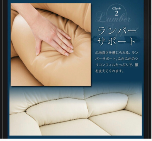 2人掛けよりも広い2.5人掛け！　お値引き
