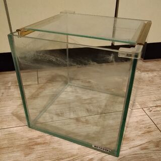 フレームレス水槽　20*20*20cm