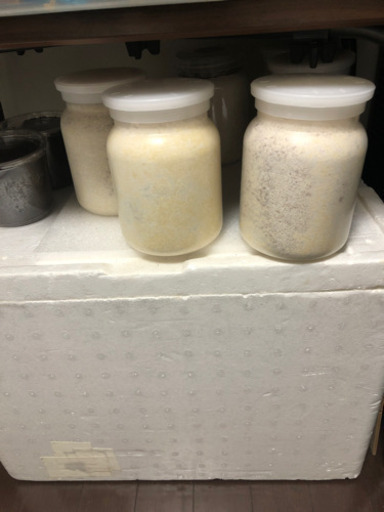 昆虫飼育撤退の為…