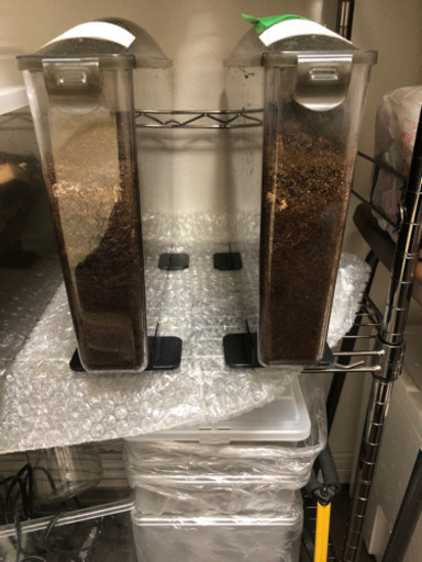昆虫飼育撤退の為…