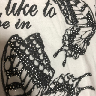 Tシャツ(SかM)の画像